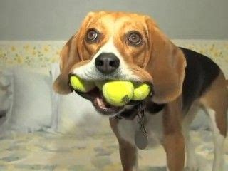 Mine!