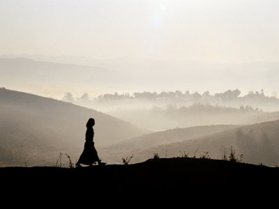 Navigating the Journey to Normal