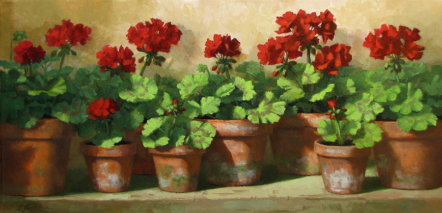 Red Geraniums