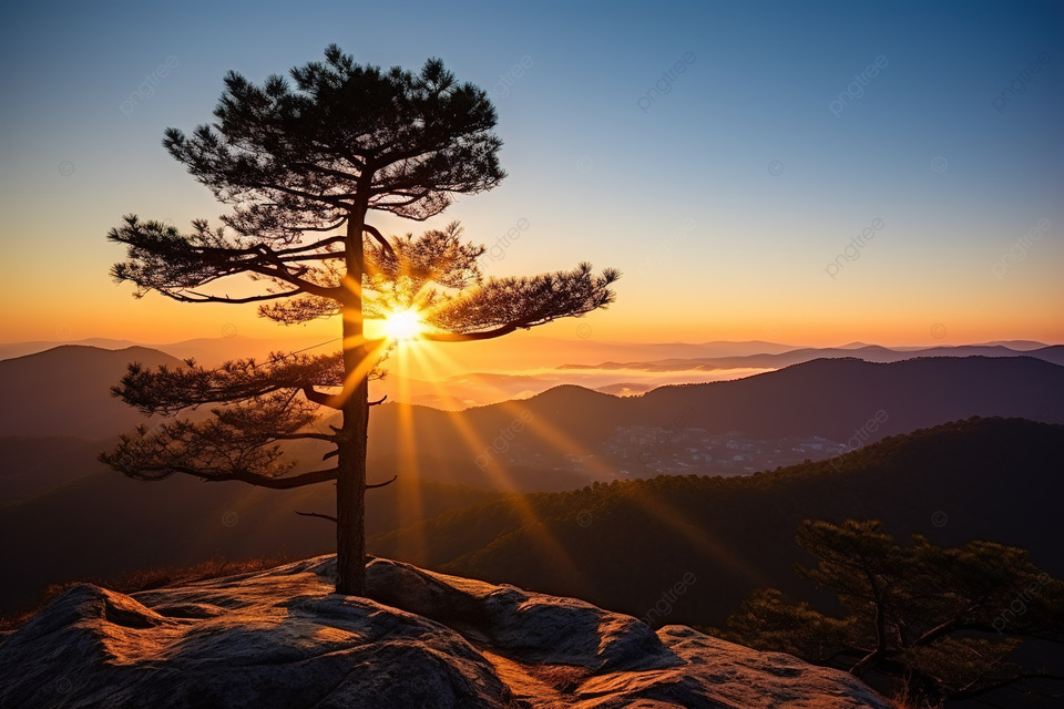 Awakening
