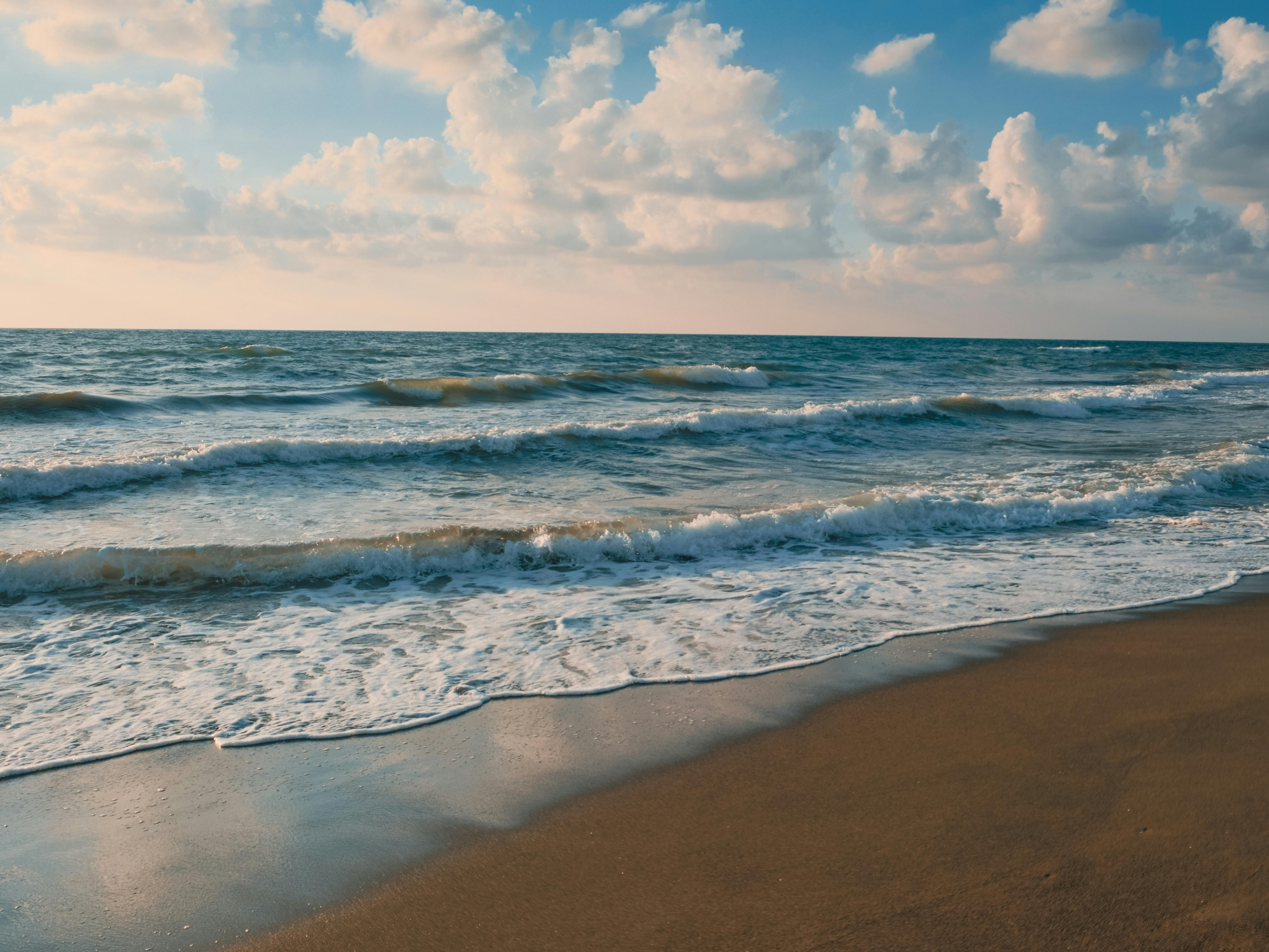 To Sea to See